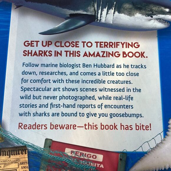 Sharks by Ben Hubbard Children's Book - Picture 3 of 6